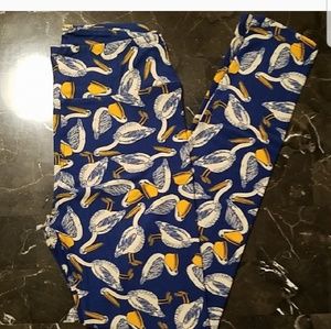 @boobear610 bundle only